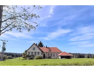 office and production.jpeg